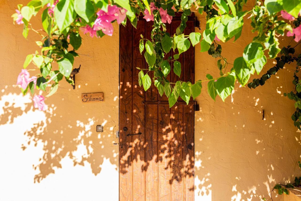 Las Mariposas San Antonio (Ibiza) Exterior foto